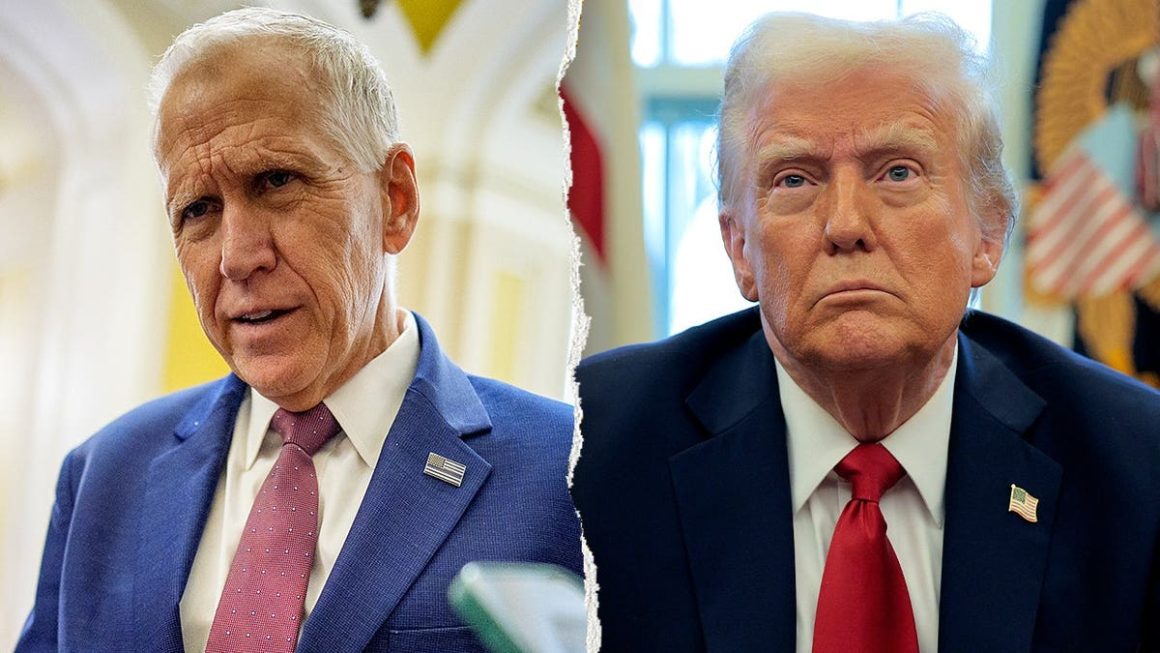 0562cd99-5919-4cc7-8357-ee663315f5d5 Senator Thom Tillis Criticizes Trump’s Actions Affecting GOP’s Senate Hopes