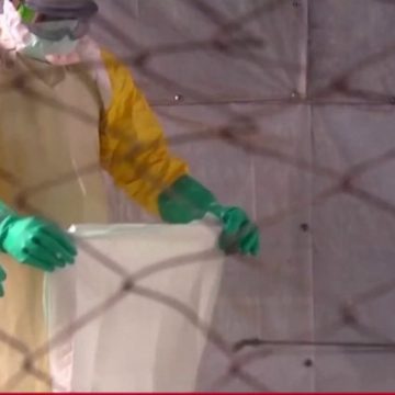 New Hantavirus Case Linked to Cruise Ship Confirmed by Spanish Government