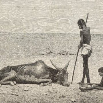 Exploring the Impact of El Niño on Global Events