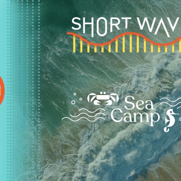 Shifts in Ocean Currents: Understanding the Causes