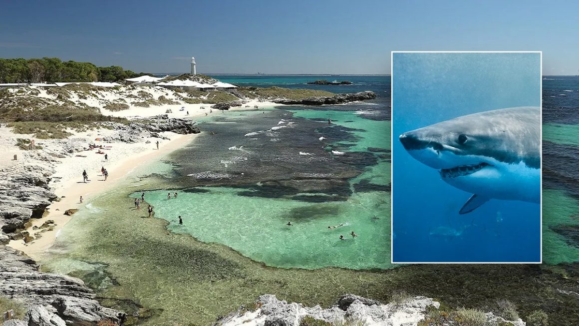 492c7abe-3441-4c74-85e6-6a6277ac8a91 Fatal Shark Attack Near Rottnest Island in Australia