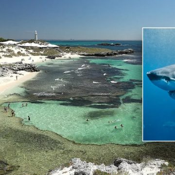 Fatal Shark Attack Near Rottnest Island in Australia
