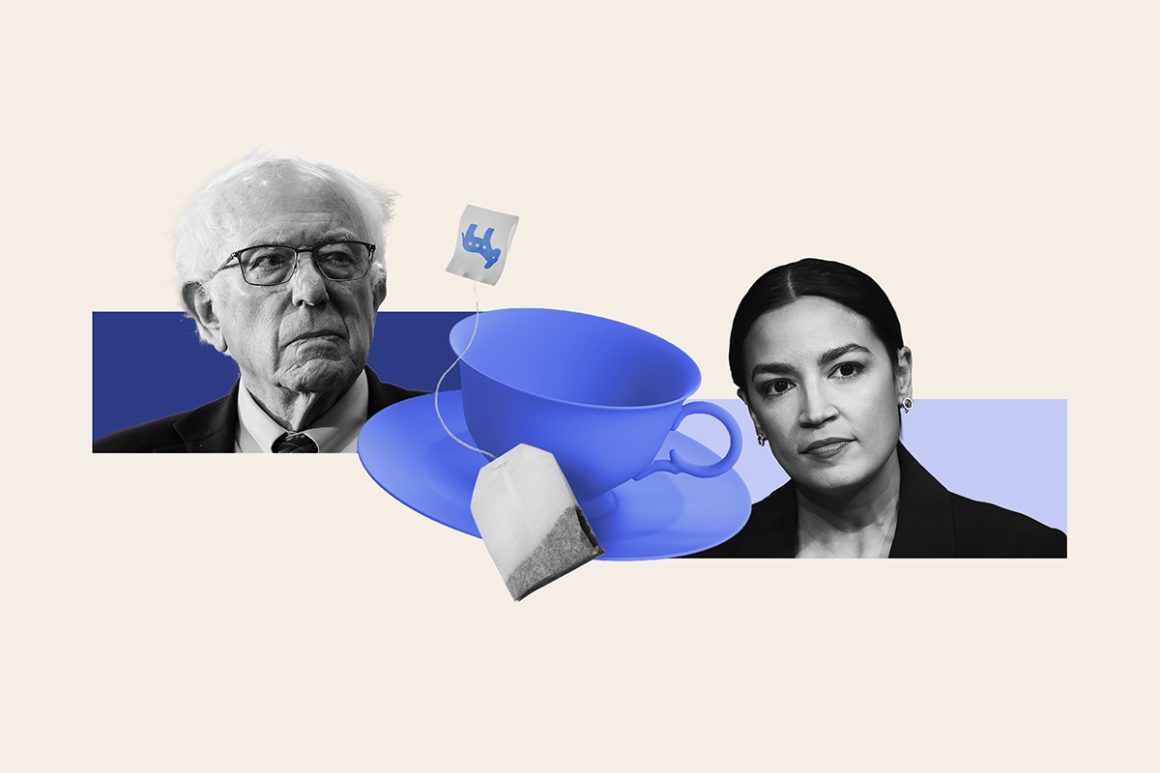 The Influence of Progressives in 2026 Democratic Primaries