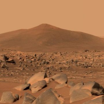 Musk’s Ambitious Mars Colonization and its Implications