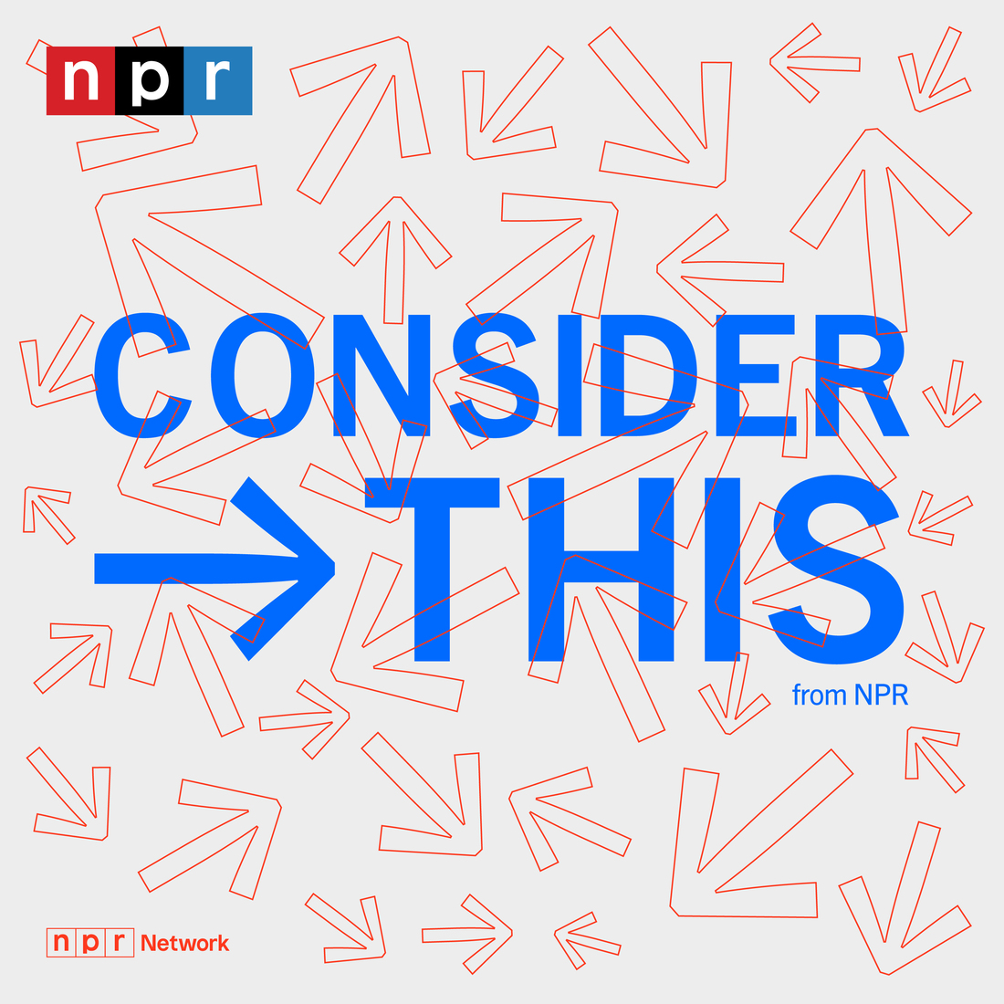 4f74aced-6e42-4ca6-b165-46d4155f6641 Exploring Key NPR Episodes: From Global Issues to Media Insights