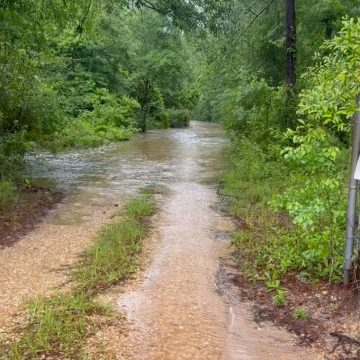 Flood Alerts and Severe Weather Across the South