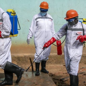 Preparing for Future Viral Outbreaks