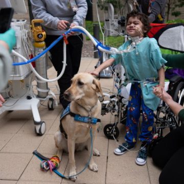 Facility Dogs Bring Comfort to Children’s Hospitals