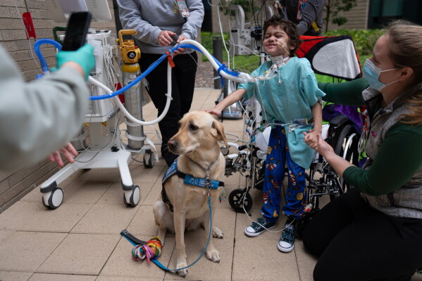 a5a49a7a-d38c-440a-9b51-5281ad13007c Facility Dogs Bring Comfort to Children’s Hospitals