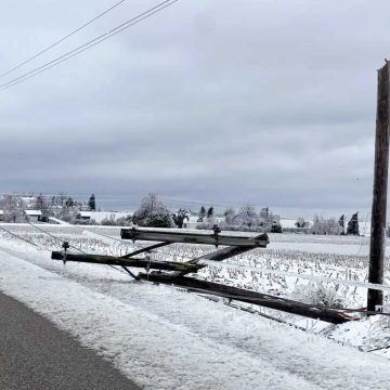 Ice Storm Highlights Power Grid Challenges in Michigan