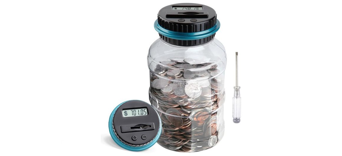 Choosing the Right Piggy Bank for Your Needs