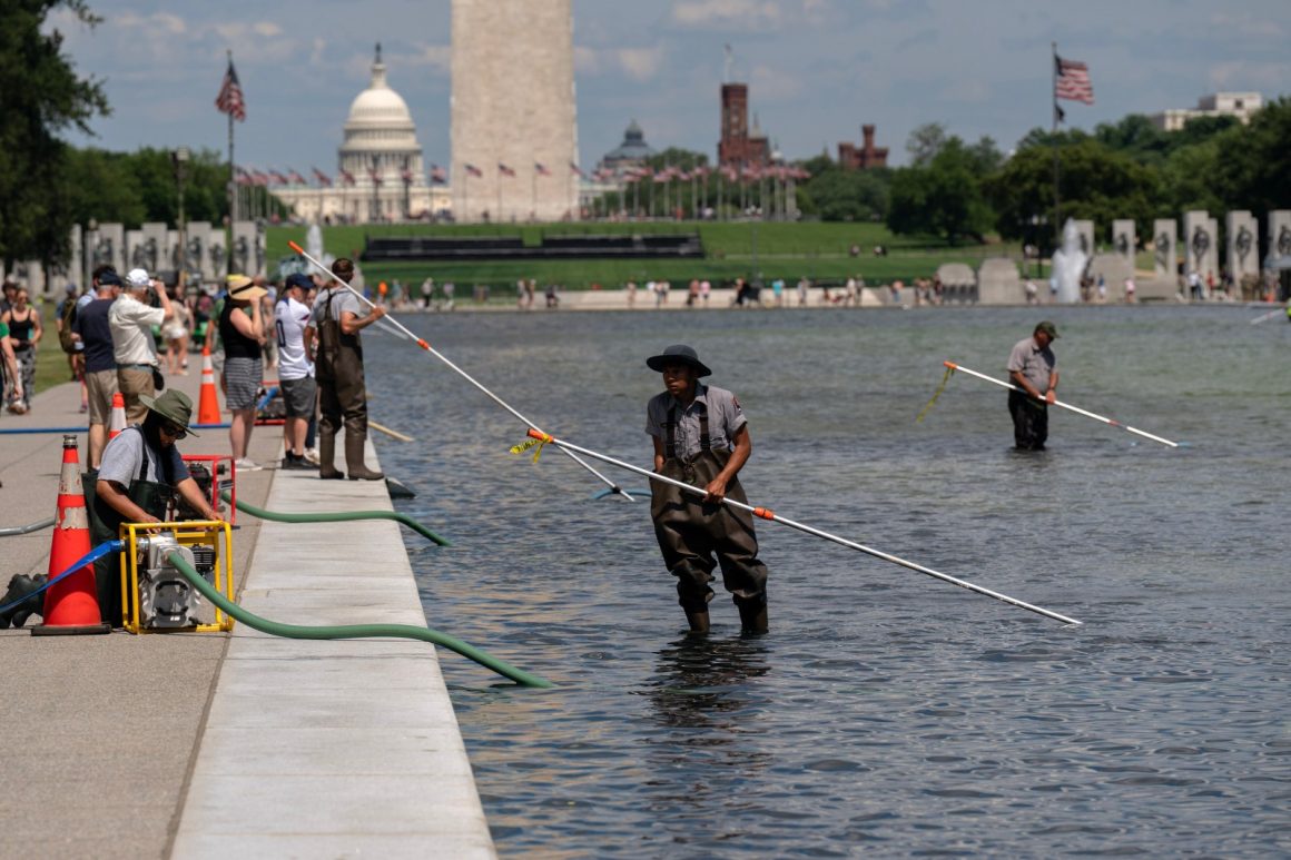 Reflecting Pool Renovation Sparks Environmental Debate Amid Duck’s Death