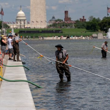 Reflecting Pool Renovation Sparks Environmental Debate Amid Duck’s Death