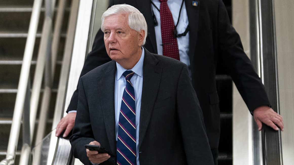 11e54dcd-e6ad-4a1c-aefe-8edf758f858b Sen. Lindsey Graham Faces Challenging Primary in South Carolina