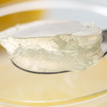 Novo Nordisk’s Price Cut on Wegovy and Ozempic