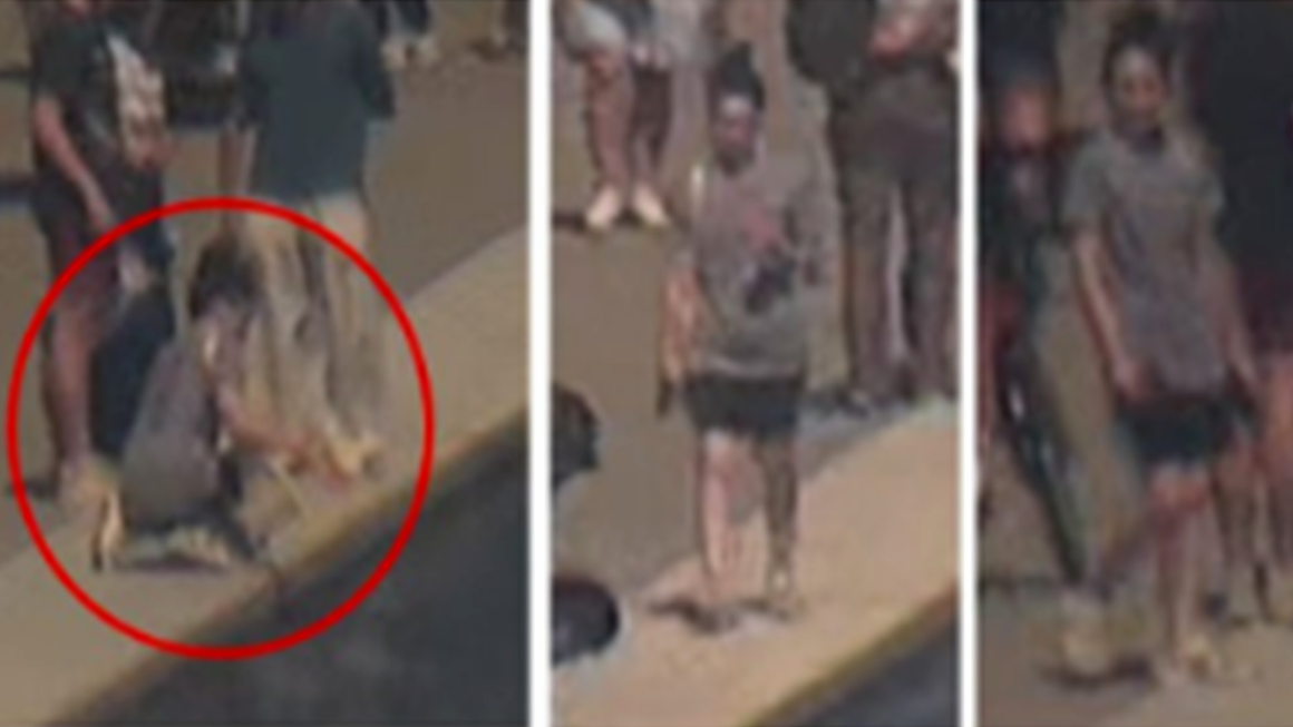 Investigation of Damage to the Reflecting Pool in Washington, D.C.