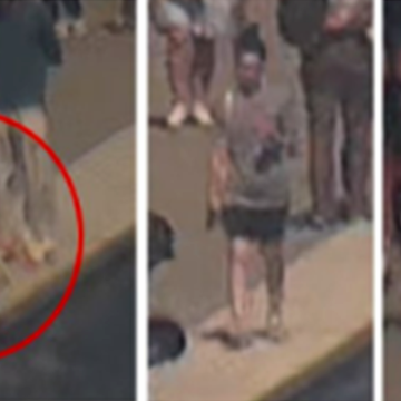 Investigation of Damage to the Reflecting Pool in Washington, D.C.