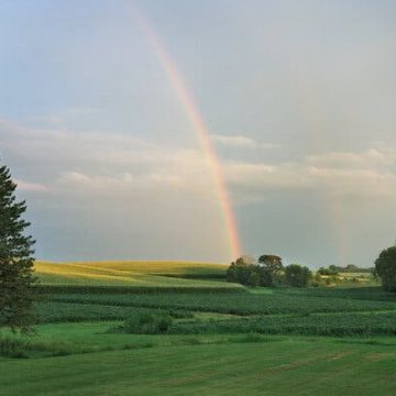 Minnesota Tops States for Quality of Life Amid National Declines