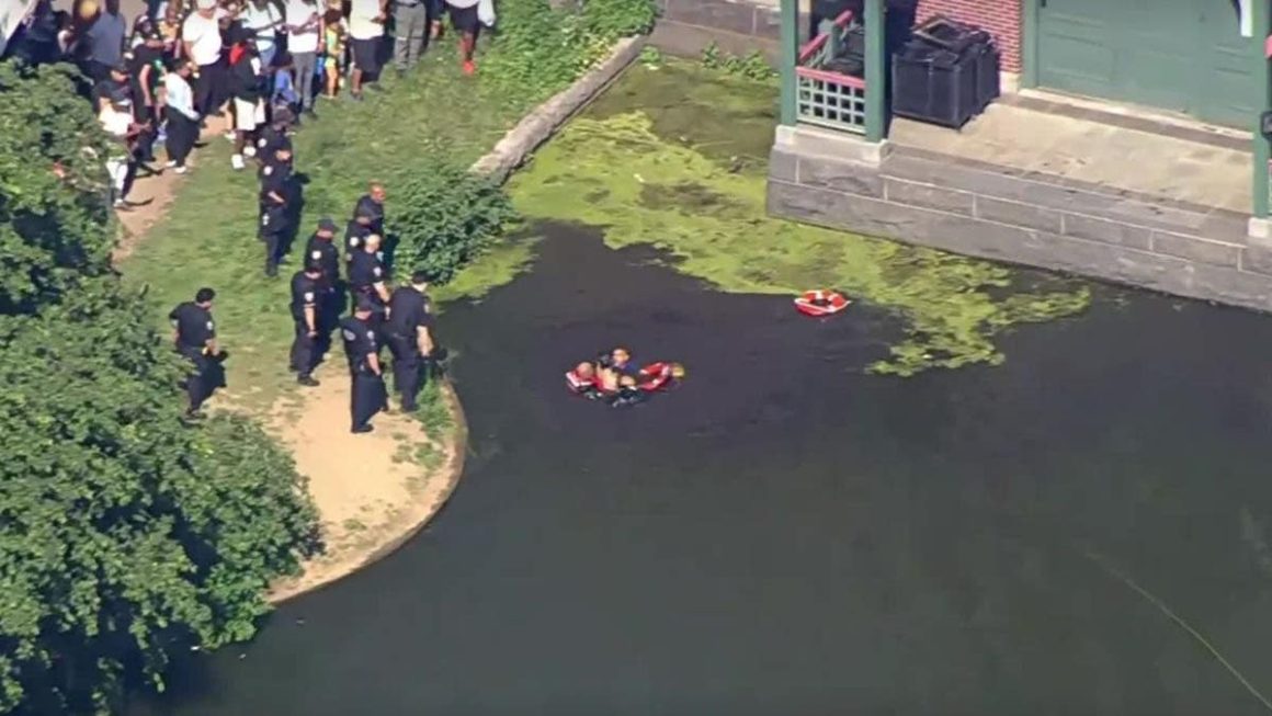 25c04f55-d9d0-45f7-b5ee-84278df26eb9 Rogue Swimmer Arrested After Attempted Escape in Central Park