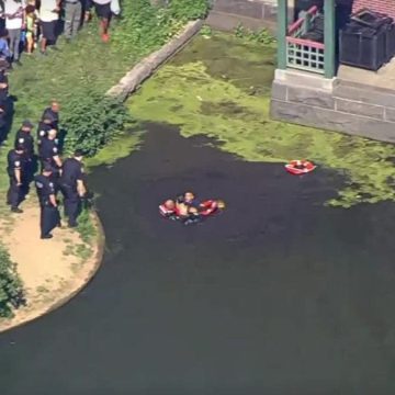 25c04f55-d9d0-45f7-b5ee-84278df26eb9 Rogue Swimmer Arrested After Attempted Escape in Central Park