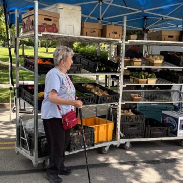 Sue Nibeck: A Legacy of Community Building Through Hinsdale Farmers Market