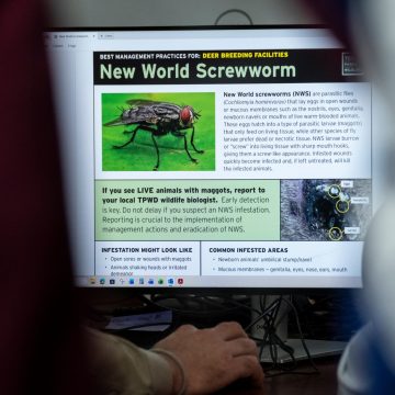 3ac2f475-c0c0-4770-bf99-d0c0e7d2d490 New Screwworm Case Detected in Texas Raises Concerns