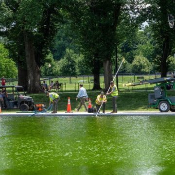 Trump’s Reflecting Pool Project Faces Algal Blooms