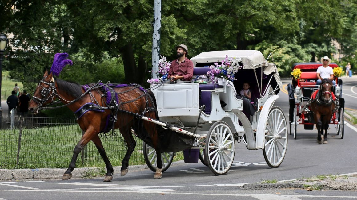 Controversy Surrounding Horse-Drawn Carriage Rides in Central Park