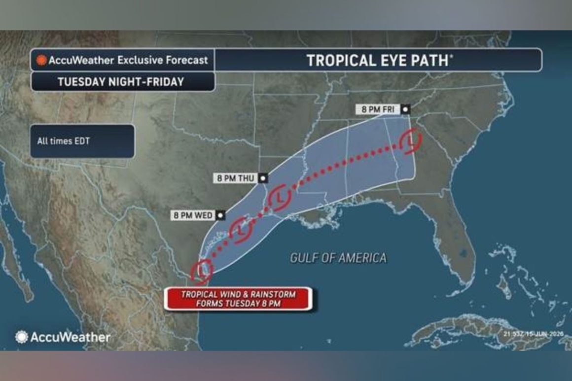 5186d452-425c-458b-b73d-c2808116a402 Flash Flood Warning for Gulf Coast: Impending Severe Weather Threat