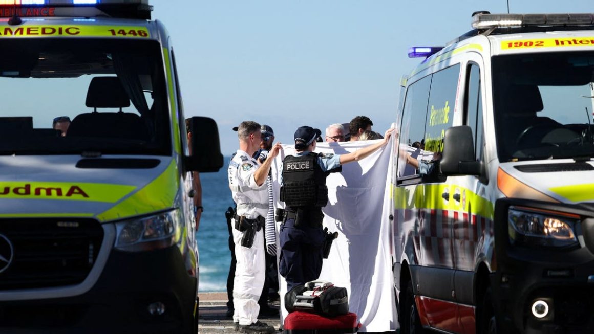 Increase in Shark Attacks at Australian Beaches Raises Concerns