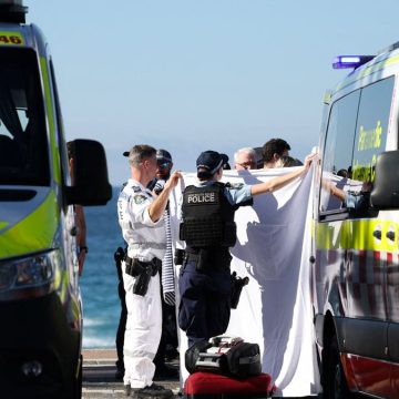 591c0c35-9f12-49ba-8506-9402b99a9650 Increase in Shark Attacks at Australian Beaches Raises Concerns