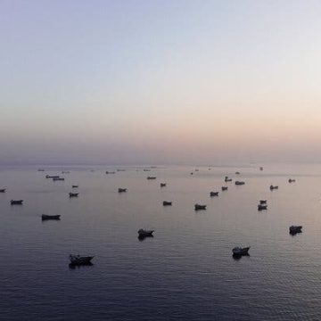 U.S. Army Apache Helicopter Incident Near Strait of Hormuz