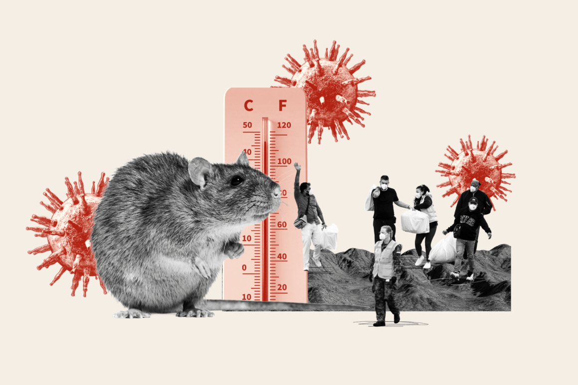 Super El Niño May Affect Hantavirus Risk in the U.S.
