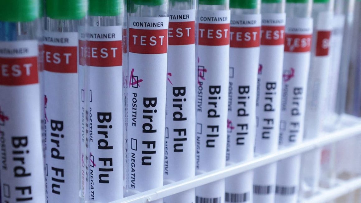 5fcd4e66-8c1e-4db2-99ce-2f37dbfe99eb H5N1 Bird Flu Reaches Australia