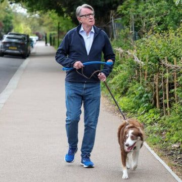 613c608a-6720-4172-9385-787600b17065 Controversy Surrounding Peter Mandelson’s Appointment as U.S. Ambassador