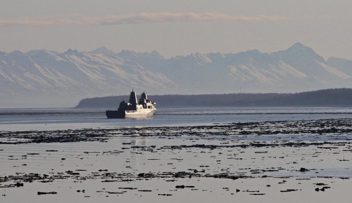 U.S. Marine Missing After Training Exercise from USS Anchorage