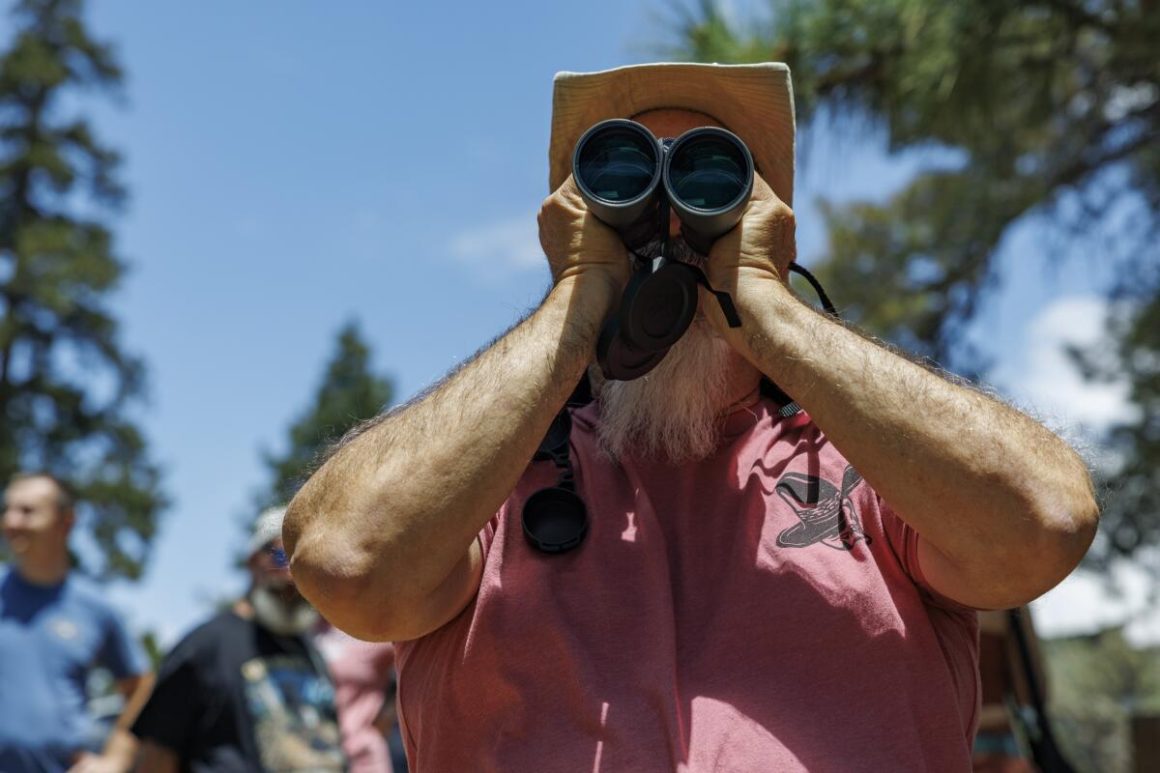 Tribute to Sandy Steers and Efforts to Protect Big Bear Eagles