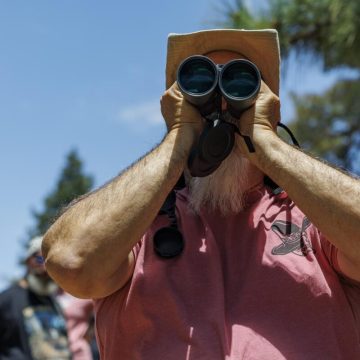 Tribute to Sandy Steers and Efforts to Protect Big Bear Eagles
