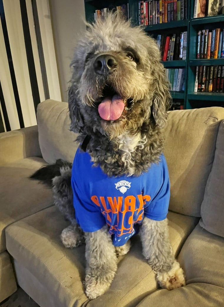 9761a35a-7827-4eb5-85a6-061ca5b703c1 LAPD Fatally Shoots Dog Amid Knicks Celebration in Canoga Park