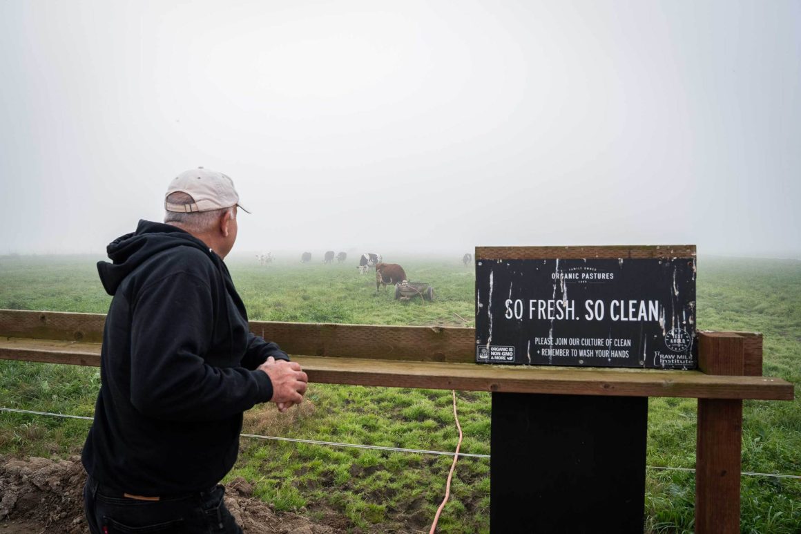 adf8301e-c7d5-4d5d-925b-ca4a13c61628 The Rise and Risks of the Raw Milk Movement