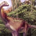 Rare Dinosaur Fossil from Antarctica Identified Decades After Discovery