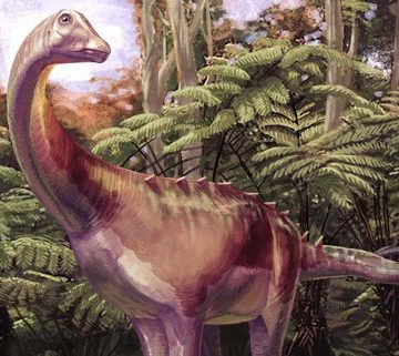 Rare Dinosaur Fossil from Antarctica Identified Decades After Discovery
