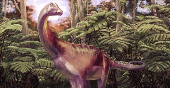 Rare Dinosaur Fossil from Antarctica Identified Decades After Discovery