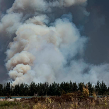 Wildfires Impacting Miami-Dade County: Containment and Air Quality Concerns
