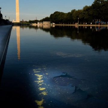 The Controversy Surrounding Trump’s Reflecting Pool Refurbishment