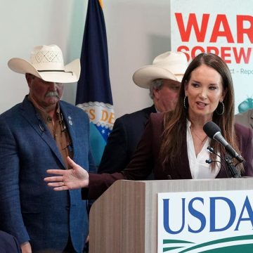 New World Screwworm Threat in South Texas