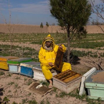 d33053cf-3f0c-48ba-ad5a-24294c918795 Afghan Women’s Entrepreneurship Under Taliban Restrictions