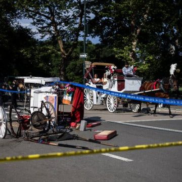 Central Park Carriage Controversy Intensifies