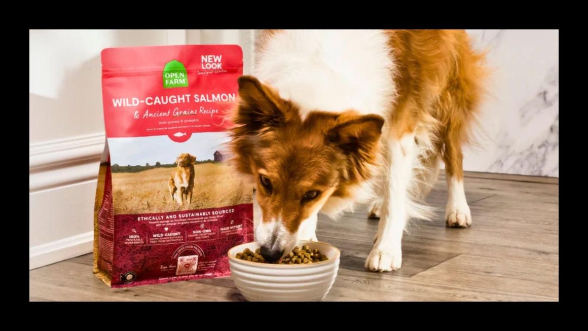 dcfda175-2875-4e23-b0df-5d18a407a77b 9 Best Dog Foods For Sensitive Stomachs