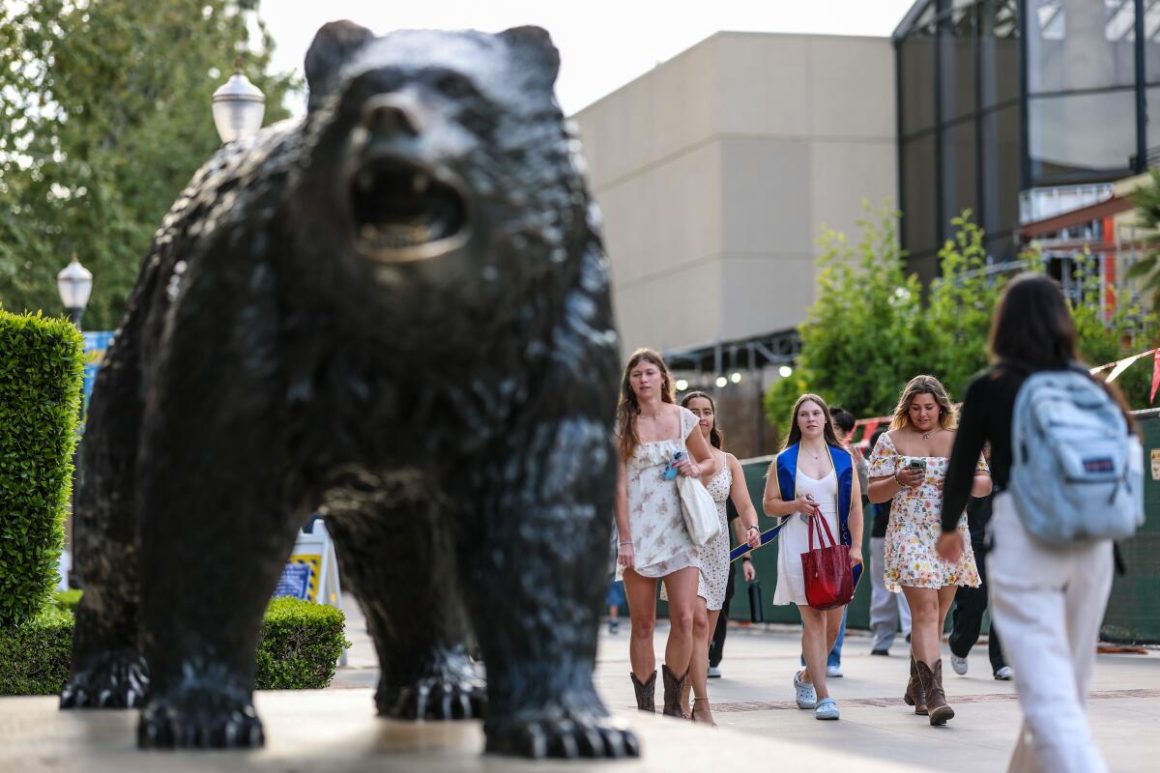 Growing AI Cheating Concerns at American Universities